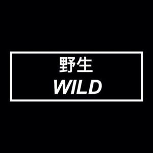 Meet your Posher, Kai